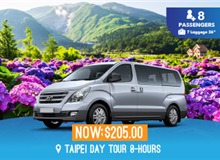 Taipei Day Tour 8-hours (9 Seater)