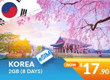 South Korea 8 Days E-sim Unlimited Data 2GB High Speed