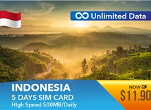 Indonesia 5 Days Unlimited Data Sim Card