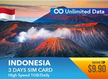 Indonesia 3 Days Unlimited Data 1GB High Speed Daily Sim Card