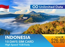 Indonesia 10 Days Unlimited Data 1GB High Speed Daily Sim Card