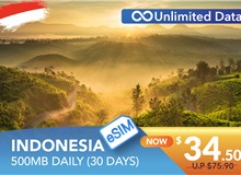 INDONESIA 30 DAYS E-SIM UNLIMITED DATA 500MB HIGH SPEED DAILY