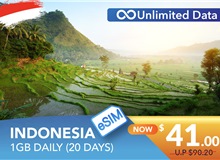 INDONESIA 20 DAYS E-SIM UNLIMITED DATA 1GB HIGH SPEED DAILY