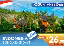 INDONESIA 5 DAYS E-SIM UNLIMITED DATA 3GB HIGH SPEED DAILY