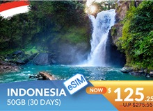 INDONESIA 30 DAYS E-SIM 50GB HIGH SPEED