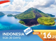 INDONESIA 30 DAYS E-SIM 5GB HIGH SPEED