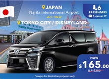 Japan Narita Airport - Tokyo City/ Disneyland, One Way Transfer Non-peak (7 Seater)