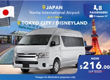 Japan Narita Airport - Tokyo City/ Disneyland, One Way Transfer Non-peak (10 Seater)