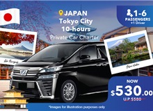 Japan - Mt. Fuji/ Hakone 10 Hours Private Car Charter Non-peak (7 Seater)