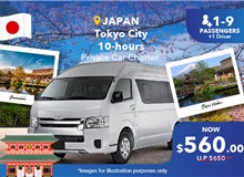 Japan - Mt. Fuji/ Hakone 10 Hours Private Car Charter Non-peak (10 Seater)