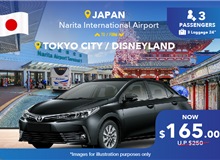 Japan Narita Airport - Tokyo City/ Disneyland, One Way Transfer Non-peak (5 Seater)