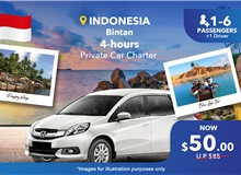 Bintan (Indonesia) 4 Hours Private Car Charter - 7 Seater