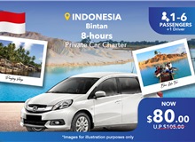 Bintan (Indonesia) 8 Hours Private Car Charter - 7 Seater