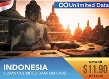 Indonesia 5 Days Unlimited Data Sim Card