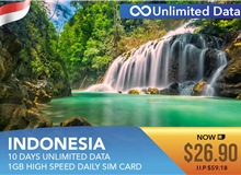 Indonesia 10 Days Unlimited Data 1GB High Speed Daily Sim Card