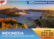 Indonesia 10 Days Unlimited Data Sim Card