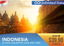 Indonesia 20 Days Unlimited Data Sim Card