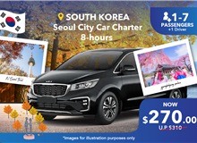 South Korea (Seoul City) Private Car Charter 8 Hours, Group Of 1-7