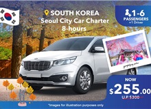 South Korea (Seoul City) Private Car Charter 8 Hours, Group Of 1-6