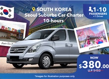 South Korea Seoul Suburb/ Nami Island Private Car Charter 10 Hours, Group Of 1-10