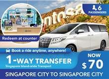 Singapore Point-to-point Limousine (6-seater) Advance Booking